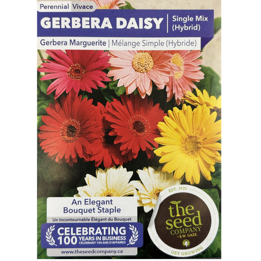 E.W. Gaze Gerbera Daisy Signal Mix Pkg.