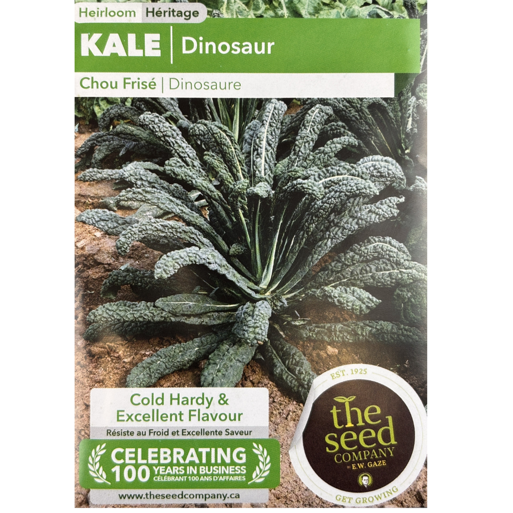 E.W. Gaze Kale Dinosaur Pkg.
