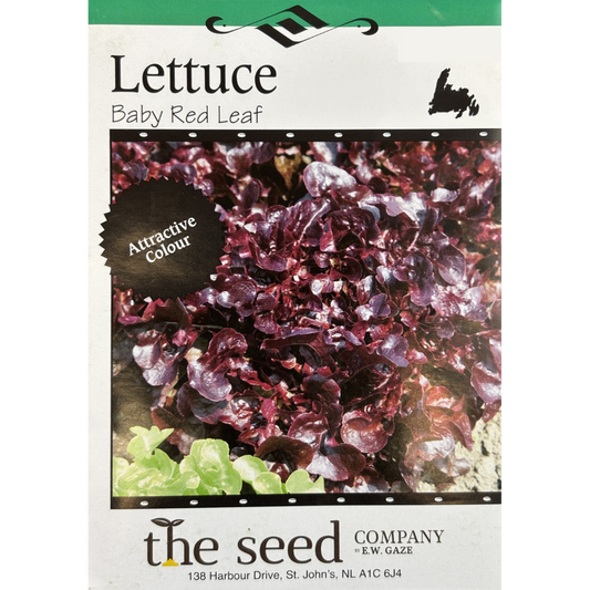 E.W. Gaze Lettuce Baby Red Leaf Pkg.
