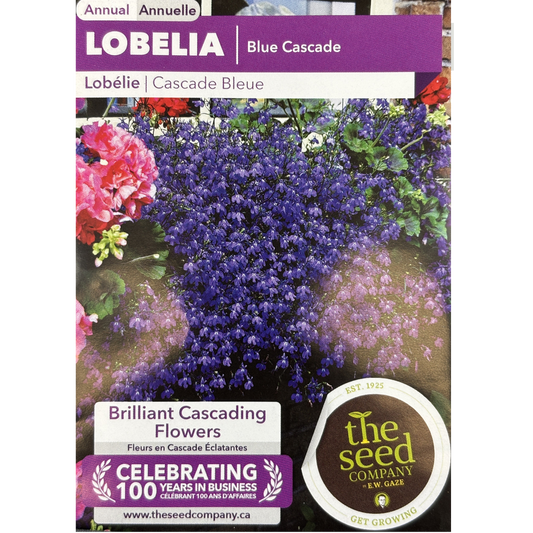 E.W. Gaze Lobelia Blue Cascade Pkg.