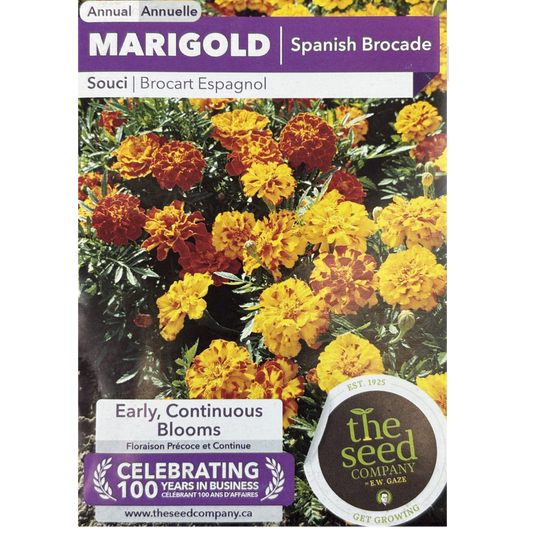 E.W. Gaze Marigold Spanish Brocade Pkg.