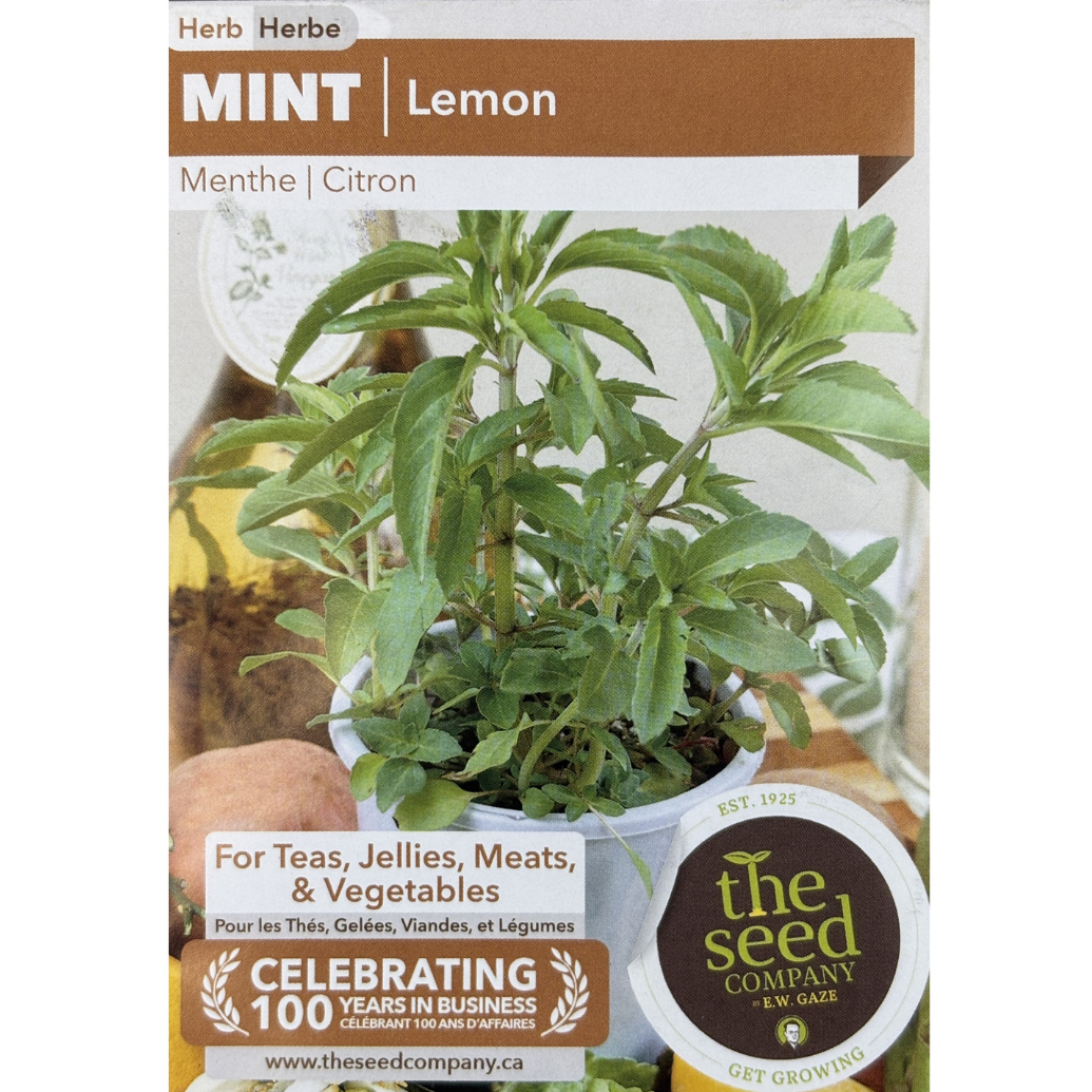 E.W. Gaze Herb Mint Lemon Pkg.
