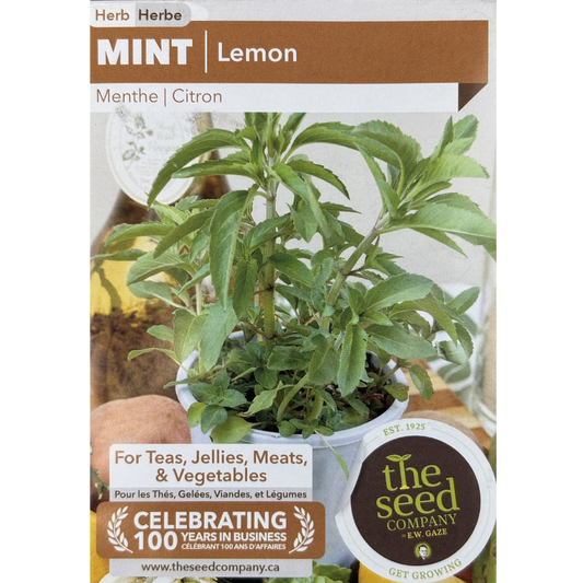 E.W. Gaze Herb Mint Lemon Pkg.