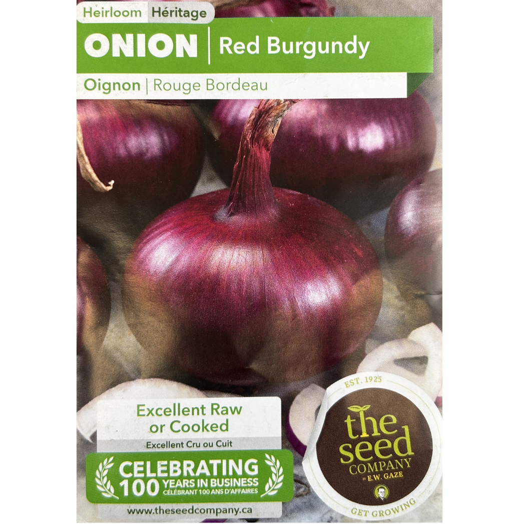 E.W. Gaze Onion Red Burgundy Pkg.