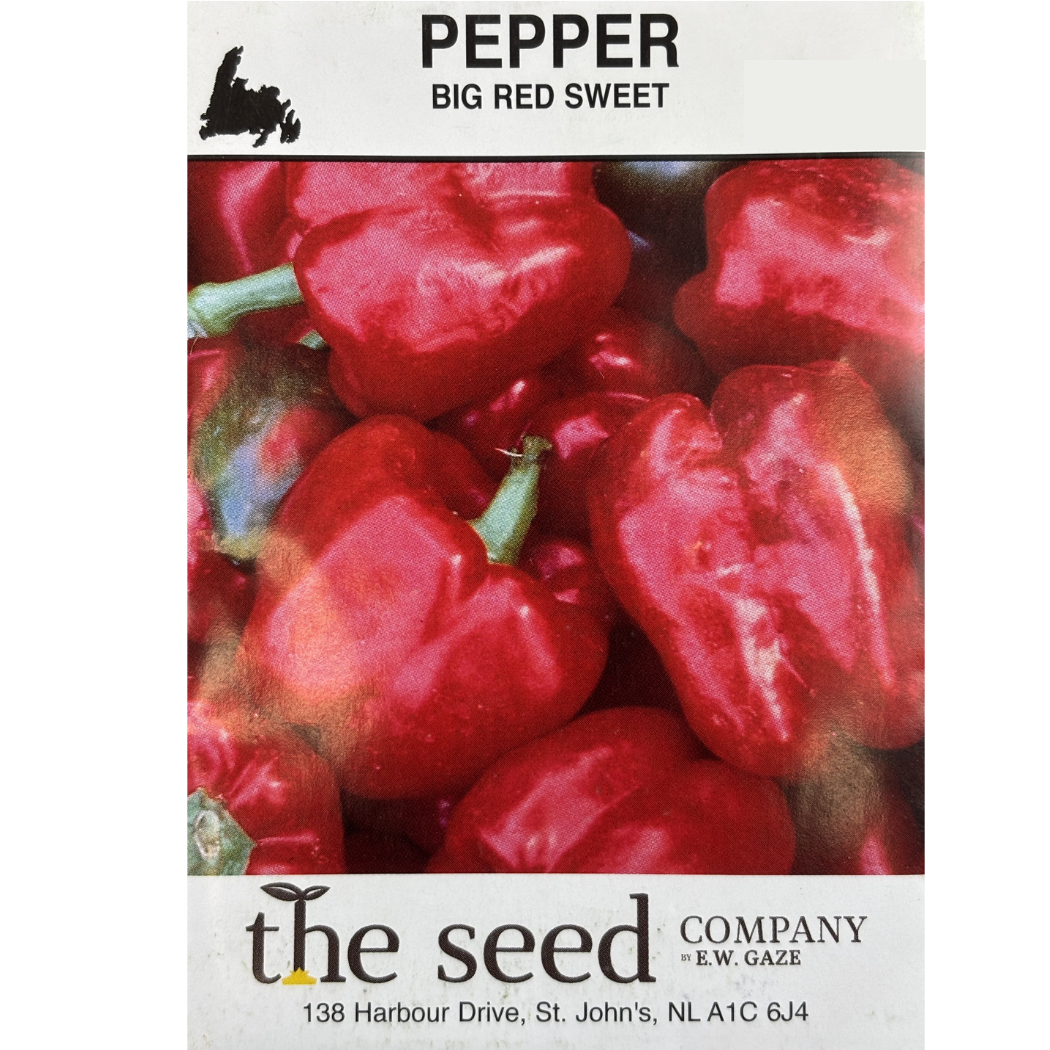E.W. Gaze Pepper Big Red Sweet Pkg.