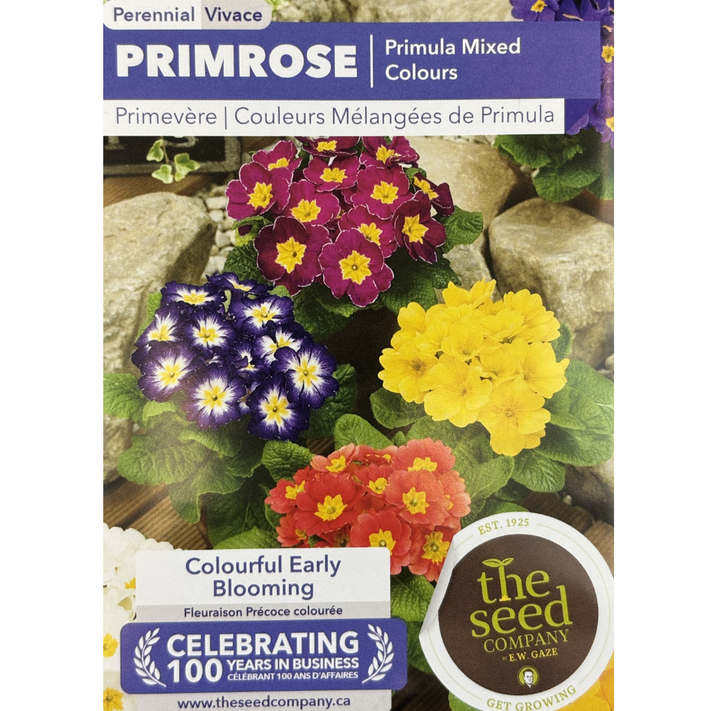 E.W. Gaze Primrose Primula Mixed Colours Pkg. – Scott's Nursery Ltd.