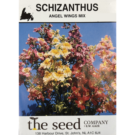 E.W. Gaze Schizanthus Angel Wings Mix Pkg.