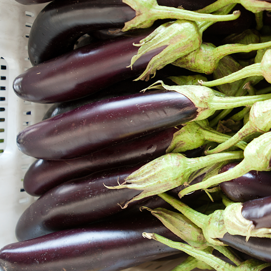 Eggplant 'Hansel'
