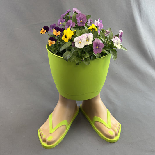 Flip Flop Planter