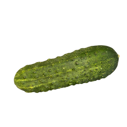 Fresh Cucumber 'Pickling'