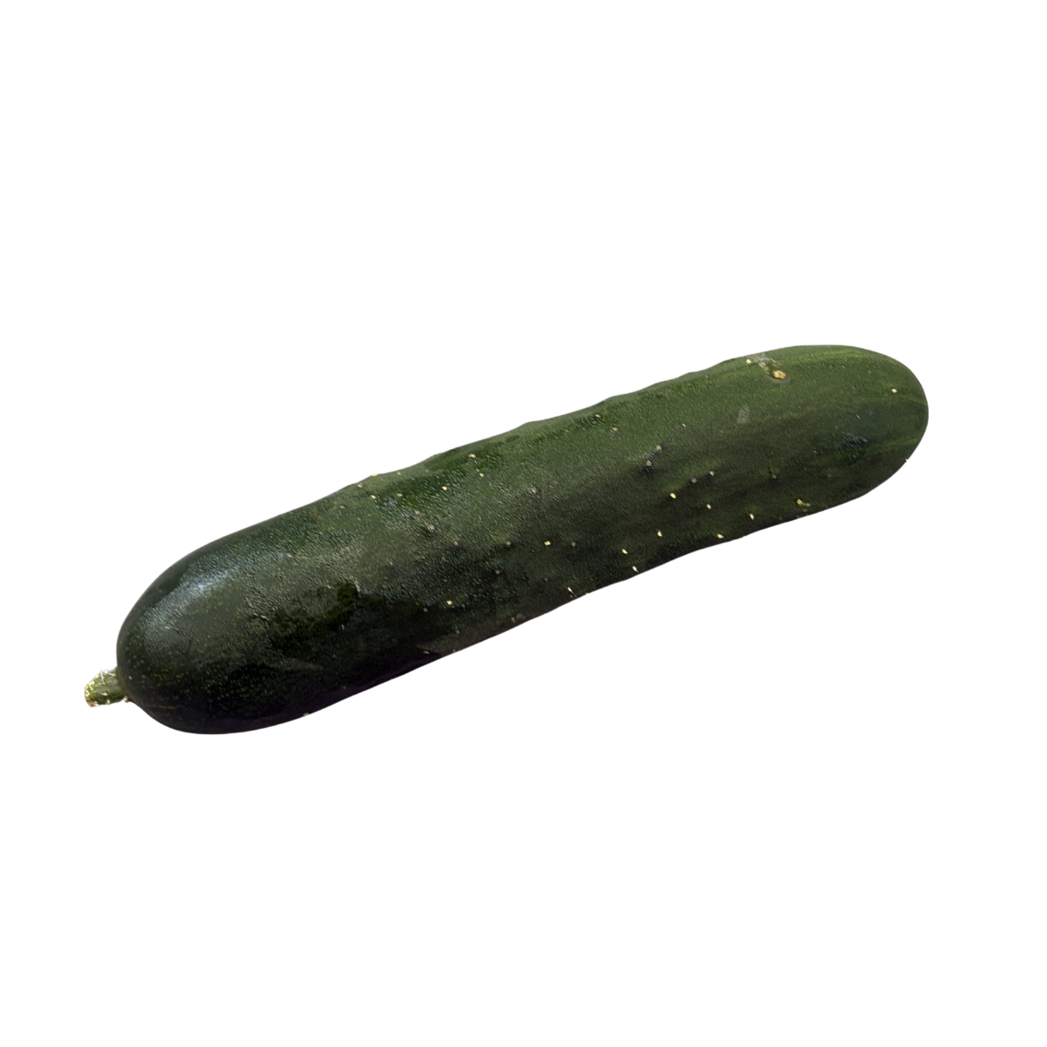 Fresh Cucumbers 'Slicing'