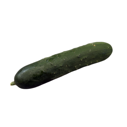 Fresh Cucumbers 'Slicing'