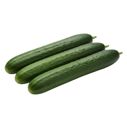 Fresh Cucumbers 'English'