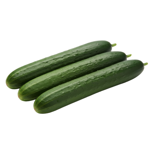 Fresh Cucumbers 'English'