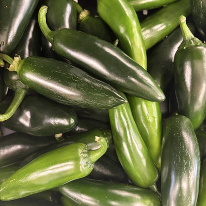 Fresh Pepper 'Jalapeño'