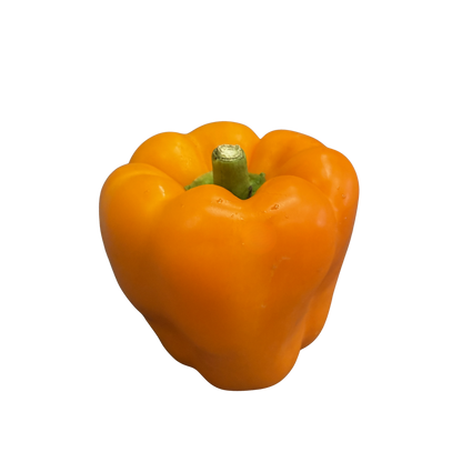 Fresh Peppers 'Bell'