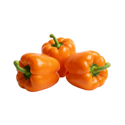 Fresh Peppers 'Bell'
