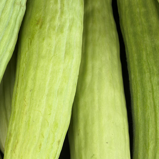 Fresh Cucumber 'Armenian'