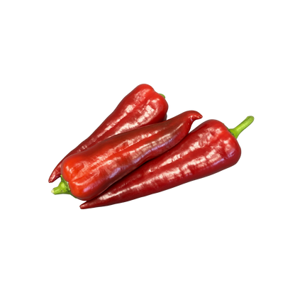 Fresh Pepper 'Sweet Italian'