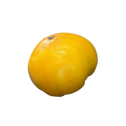 Fresh 'Tomatoes' (sold by the pound)
