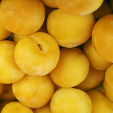 Plum 'Early Golden'