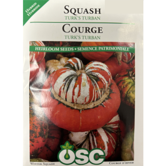 OSC Seeds Squash Turk's Turban