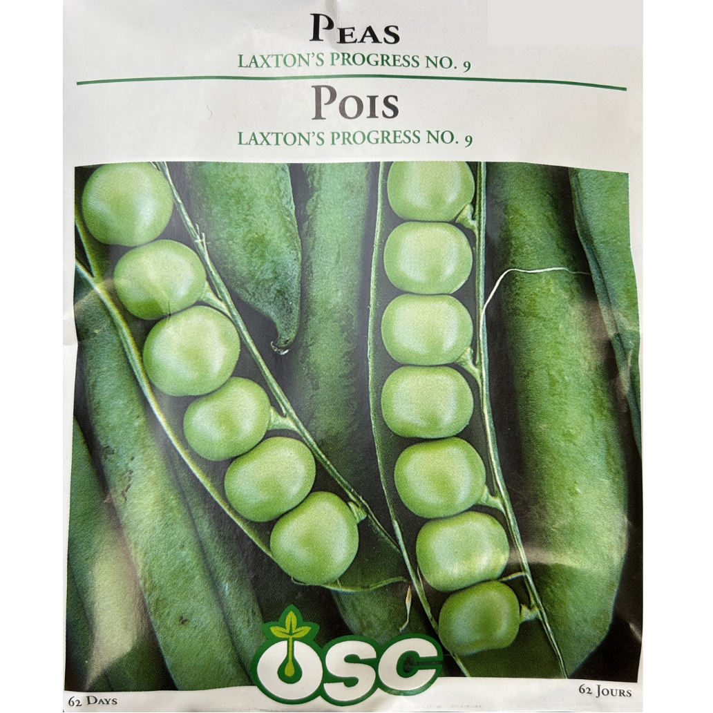 OSC Seeds Pea Laxton's Progress No.9