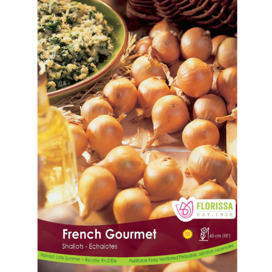 Bulbs Onion Shallot French Gourmet 10/Pkg.