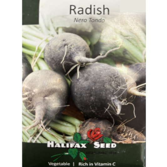Halifax Seed Radish Nero Tondo