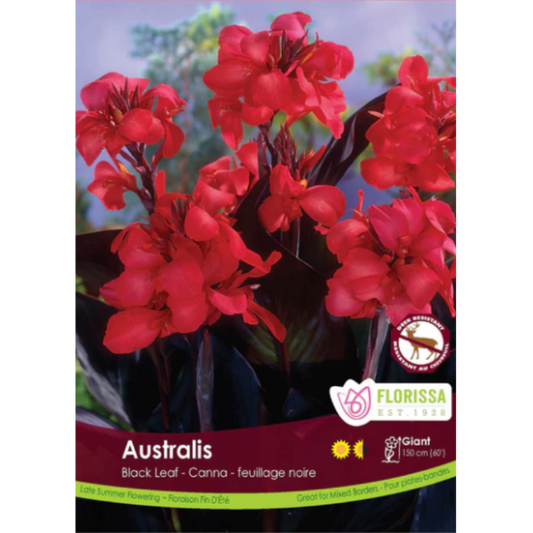 Bulbs Canna Novelty Australis 1/Pkg.