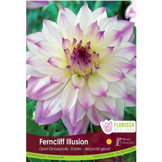 Bulbs Dahlia Dinnerplate Ferncliff Illusion 1/Pkg.