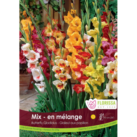 Bulbs Gladiolus Butterfly Mix 5/Pkg.