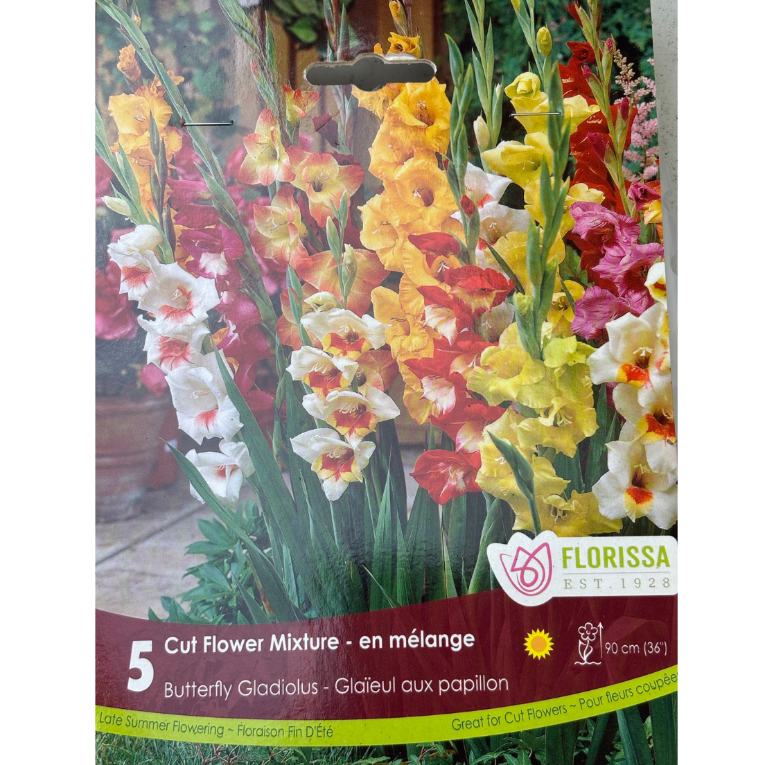 Bulbs Gladiolus Butterfly Mix 5/Pkg.