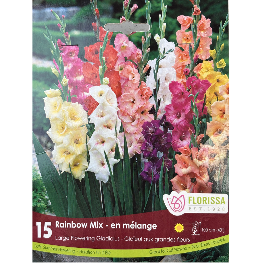 Bulbs Gladiolus Rainbow Mix 15/Pkg.
