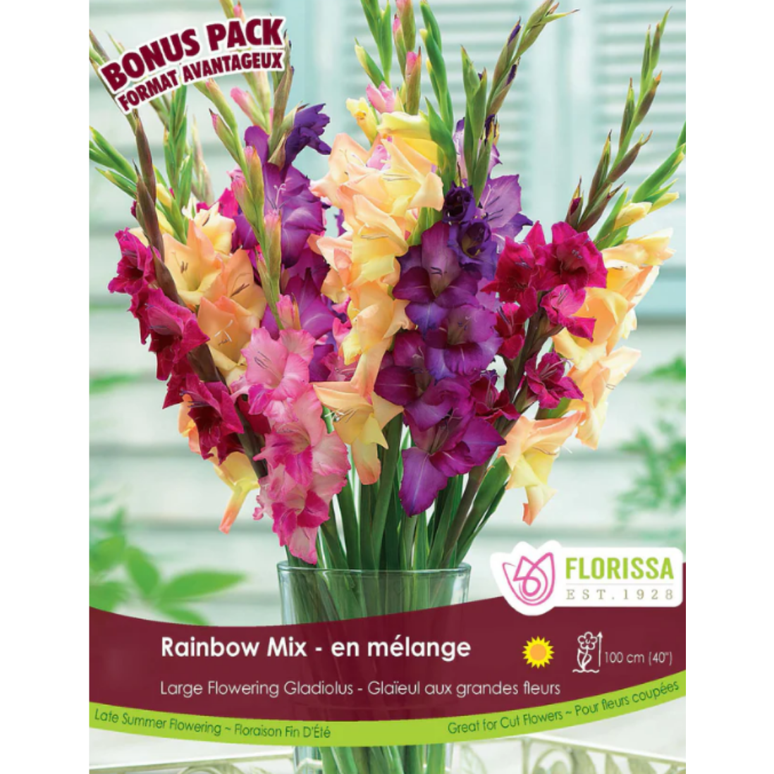 Bulbs Gladiolus Rainbow Mix 15/Pkg.