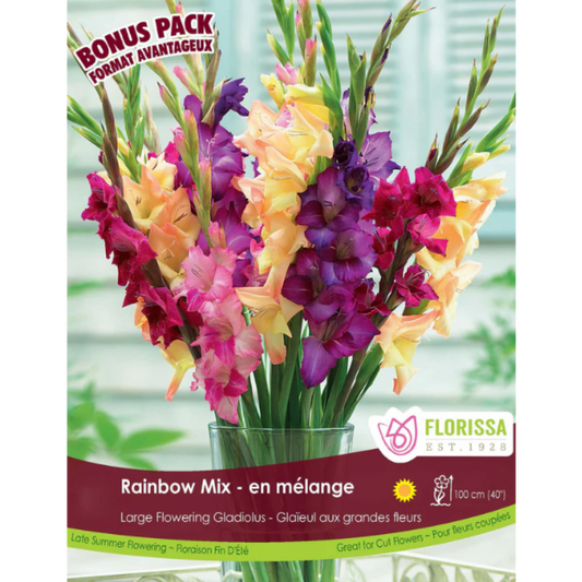 Bulbs Gladiolus Rainbow Mix 15/Pkg.