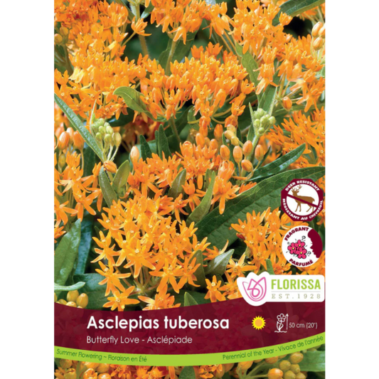 Bulbs Asclepias Tuberosa 2/Pkg.