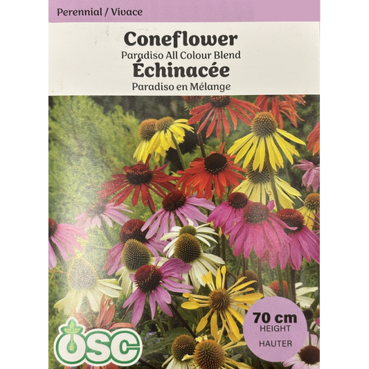 OSC Seeds Coneflower Paradiso All Colour Pkg.