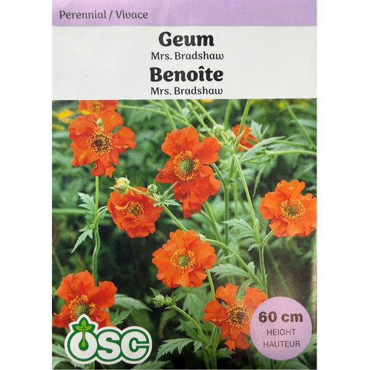 OSC Seeds Geum Mrs. Bradshaw Pkg.