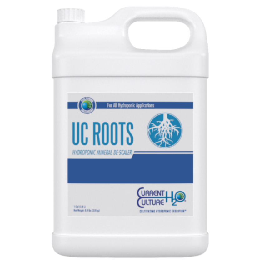 Current Culture H2O UC Roots