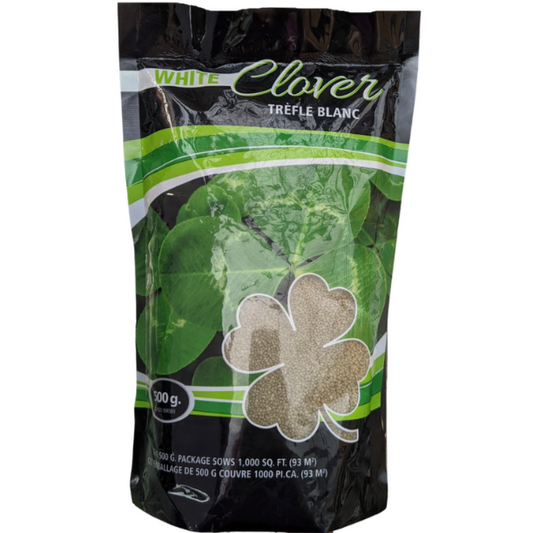 Clover Seed White Coated 500g