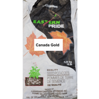 Canada Gold Seed Potatoes