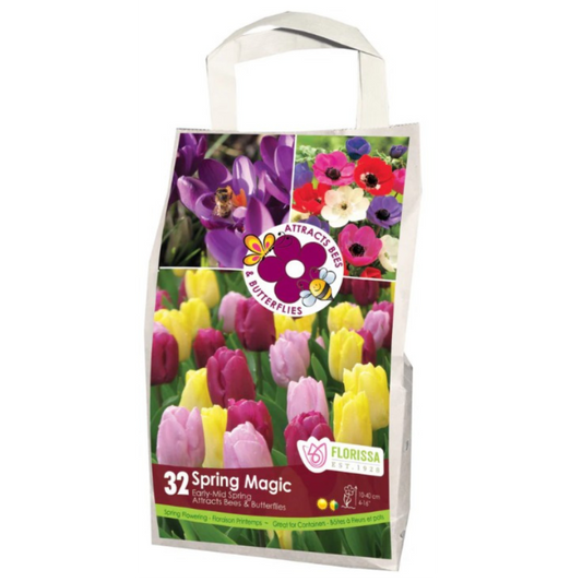 Pollinators 'Spring Magic' Mix 32/Pkg.