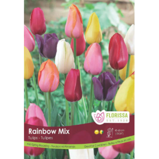 Tulip 'Rainbow Mix' Landscape 40/Pkg.