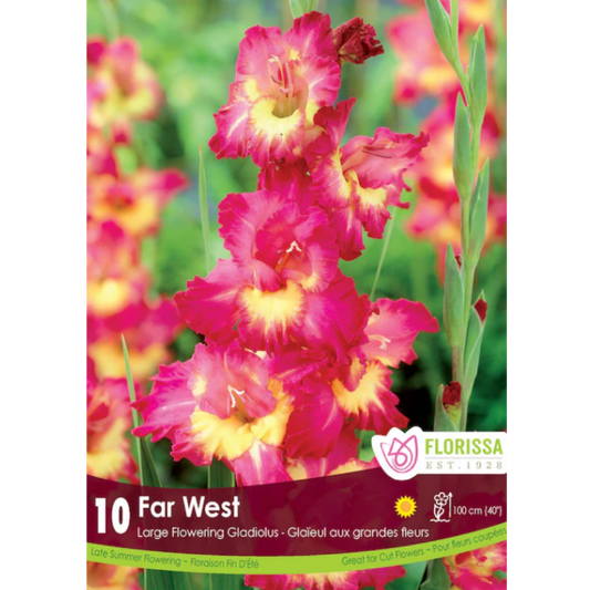 Bulbs Gladiolus Far West 8/Pkg.