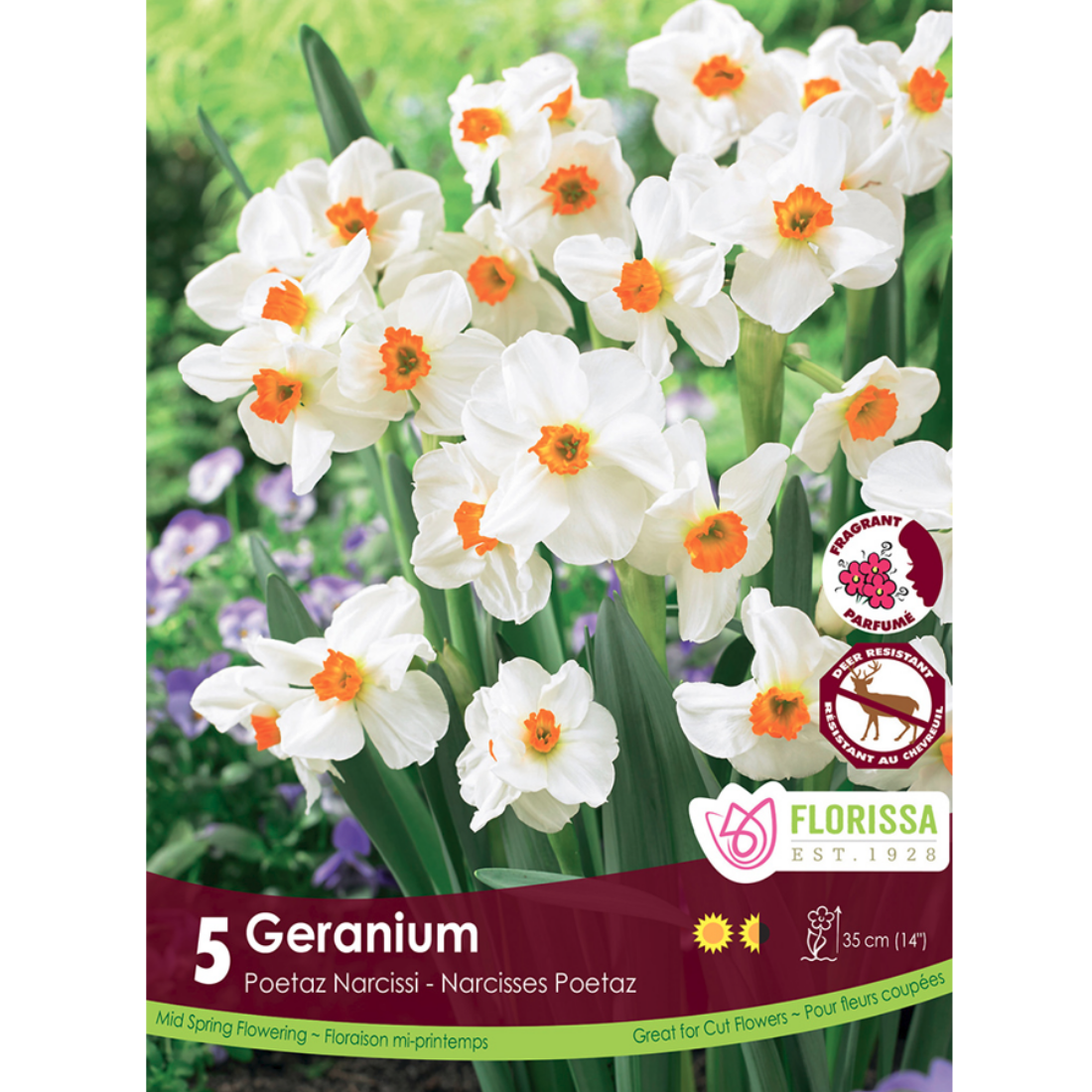 Narcissus 'Geranium' 5/Pkg.