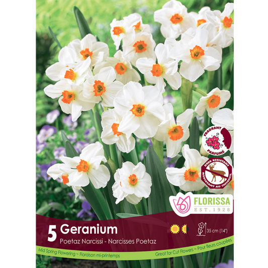Narcissus 'Geranium' 5/Pkg.
