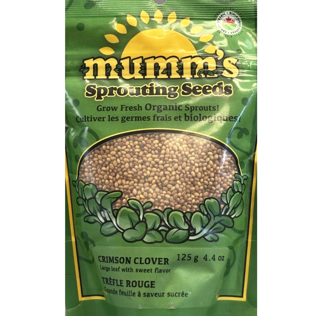 Mumm's Sprouts Crimson Clover