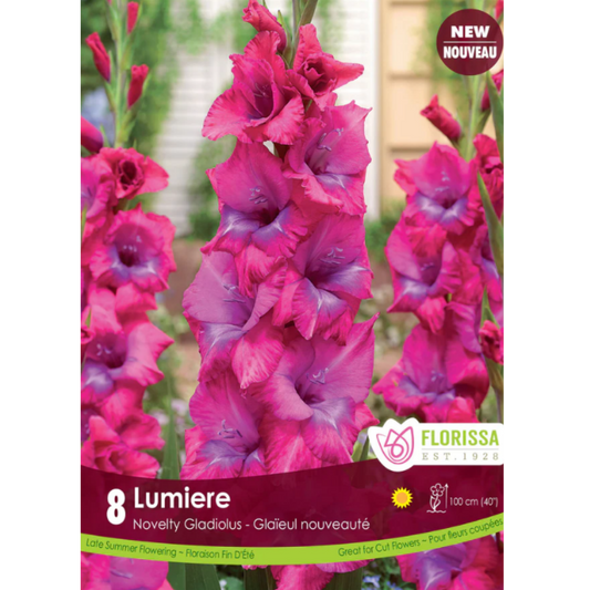 Bulbs Gladiolus Novelty Lumiere 8/Pkg.
