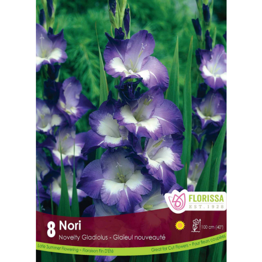Bulbs Gladiolus Nori 8/Pkg.